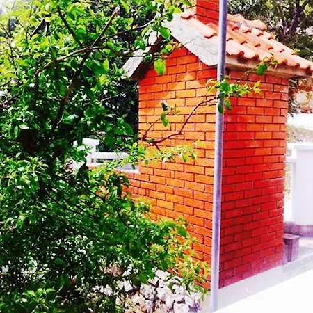 Guest house & Safic Vis